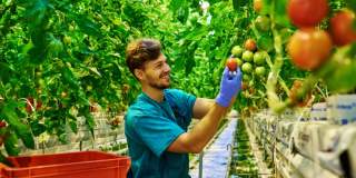 Afaceri agricultură: OPT afaceri pe care le poți începe cu 10.000 euro