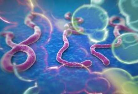 Epidemia de Ebola se extinde rapid in Africa; centrele de sanatate si personalul, reduse