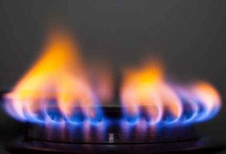 Scumpirea gazelor a propulsat companiile din domeniu in topul celor mai profitabile societati