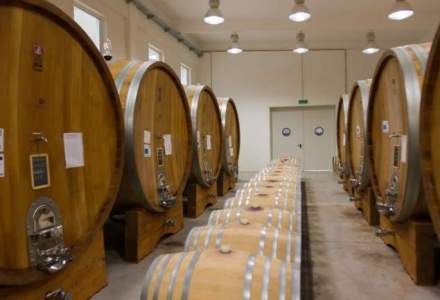Producatorul de vinuri Vitis Metamorfosis a investit 2,8 mil. euro in prima sa crama