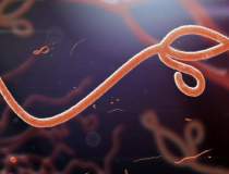 Numarul infectiilor cu Ebola...