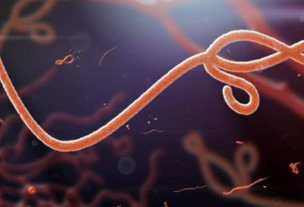 Numarul infectiilor cu Ebola risca sa ajunga la 20.000 pana in noiembrie
