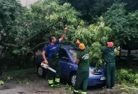 Primăria Sectorului 4 despăgubește mașinile avariate de furtuna de vineri