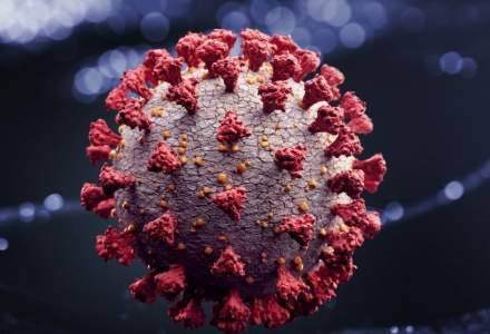 Coronavirus | Update 25 iunie: Cifrele raportate în ultimele 24 de ore