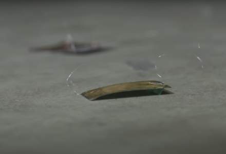VIDEO | Chinezii și americanii au creat super-gândaci robotici care pot salva vieți omenești