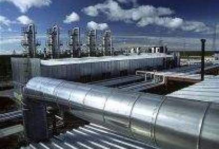Timgaz estimeaza o scadere de 25% a gazelor distribuite in 2009