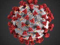Coronavirus UPDATE, 17 iulie:...