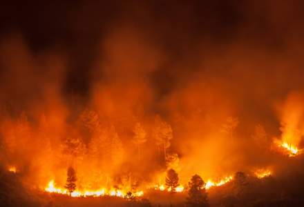 Coșmarul continuă în Grecia. Incendiile de vegetație fac ravagii