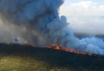 Greenpeace avertizează că incendiul din Siberia ar putea fi cel mai mare din istorie
