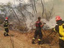 [VIDEO] Pompierii români care...