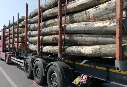 Drulă: Sancțiuni de peste 1,7 milioane lei pentru transportatorii de marfă