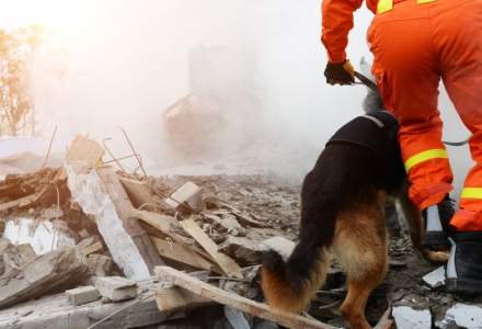 O clădire s-a prăbușit la Torino. Un cetățean român, în stare gravă