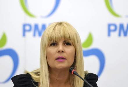 Elena Udrea neaga orice implicare in dosarul Bica