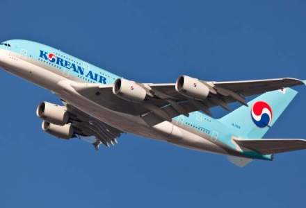 Fiica patronului Korean Air a intors un avion din drum din cauza modului de servire a aperitivului