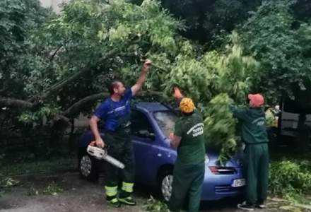 Sectorul 5: Proiect de despăgubire a proprietarilor cu mașini avariate de copacii căzuți