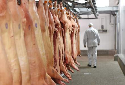 Ce țară din UE e pe cale să detroneze Germania în topul celor mai mari producătoare de carne de porc