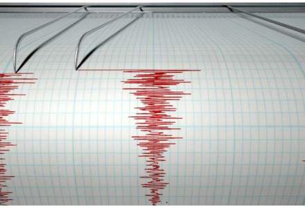 Un cutremur de 3,1 grade s-a produs in Vrancea