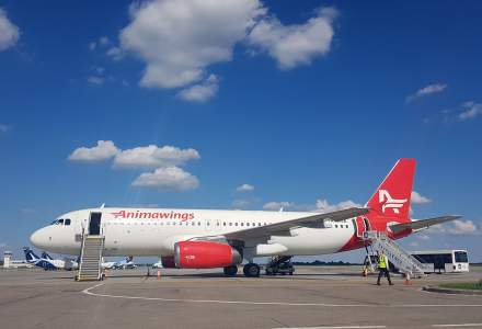 Aegean Airlines devine acționar majoritar al companiei Animawings