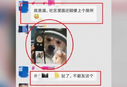 Un bărbat a fost reținut de poliția din China pentru o memă cu un câine care avea o caschetă de polițist