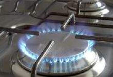 Romgaz: Productia de gaze va scadea usor in 2010
