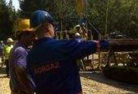 MOL si Expert Petroleum vor reabilita campurile petroliere de la granita cu Ungaria