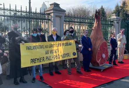 VIDEO - Protest la Parlament, împotriva viitorului Guvern Ciucă