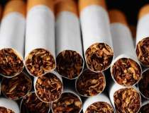 Exporturile de tigari s-au...