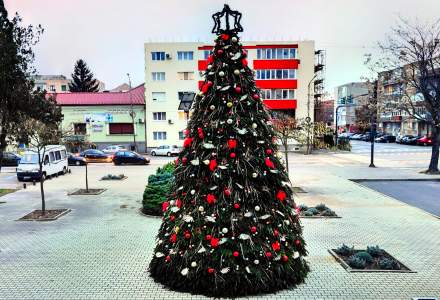 Consiliul Județean Arad a montat un brad de Crăciun ecologic