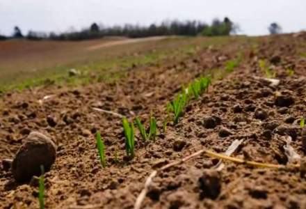 Preţul mediu al terenului arabil din România este mai mare decât în Franţa
