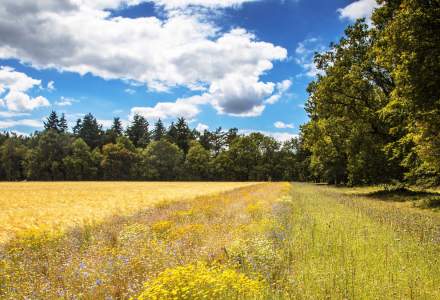 BASF Agricultural Solutions va lansa un program de reducere a emisiilor de CO2  din ferme