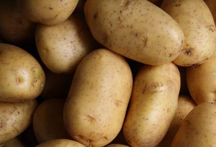 Criză de cartofi prăjiți în Japonia