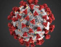 Coronavirus 6 ianuarie update...
