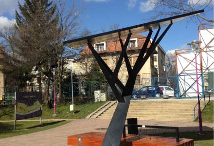 Telekom Romania a plantat primul copac digital in Timisoara: cum functioneaza Strawberry Tree (VIDEO)