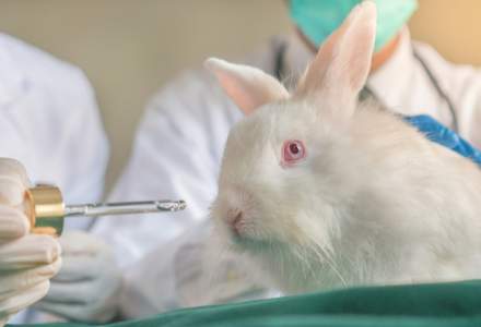 Care este prima țară care se pronunță asupra interzicerii totale a testelor pe animale