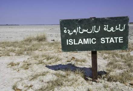 Pentagon: Statul Islamic a pierdut un sfert din zonele pe care le-a cucerit anul trecut
