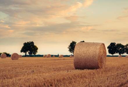 Efecte internaționale ale războiului din Ucraina: Ungaria interzice exporturile de cereale