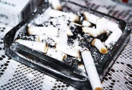 Philip Morris: Angajam intre 40-60 de oameni pentru fabrica din Otopeni
