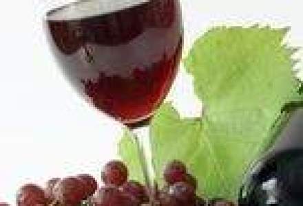 Un noul "razboi" al vinului se contureaza intre R. Moldova si Rusia