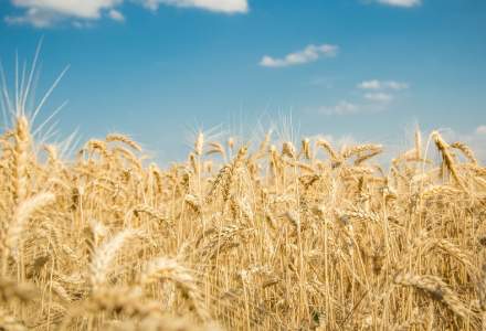Agra Asigurări lansează o poliță de asigurare împotriva secetei