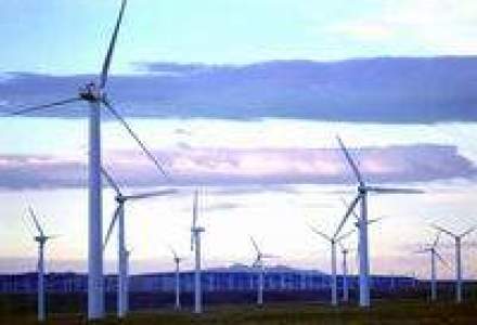 BERD ar putea finanta doua ferme eoliene din Dobrogea