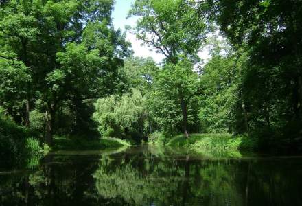 Sapte hectare din Parcul Herastrau revin in proprietatea Primariei Bucuresti
