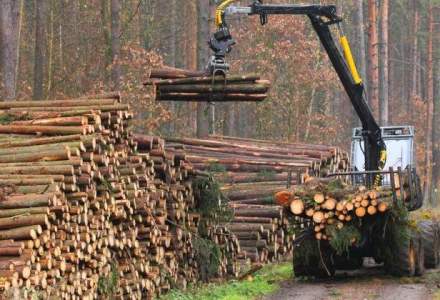 O parte din lemnul vandut de firma lui Traian Larionesi ajungea la Holzindustrie Schweighofer
