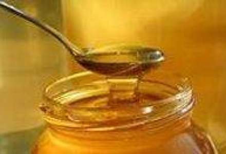 Productia nationala de miere ar putea creste anul acesta cu peste 10%