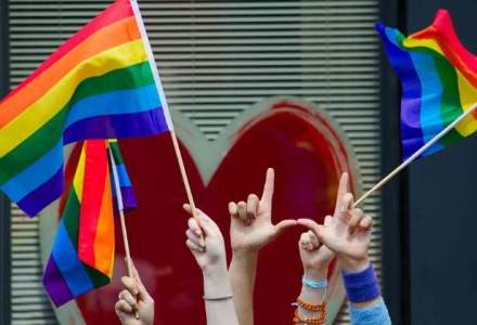 Irlanda, prima tara care a legalizat casatoriilor intre persoane de acelasi sex printr-un referendum