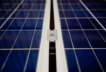 Acoperisurile verzi, obligatorii: Franta va avea panouri solare si plante pe case