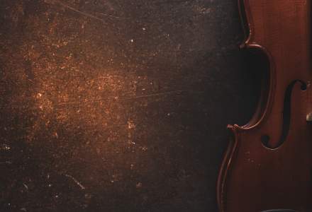 O vioară de 100.000 dolari a fost furată într-un tren și apoi găsită lângă un tomberon din Paris