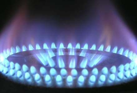Bulgaria ar putea ieftini gazele cu 7%