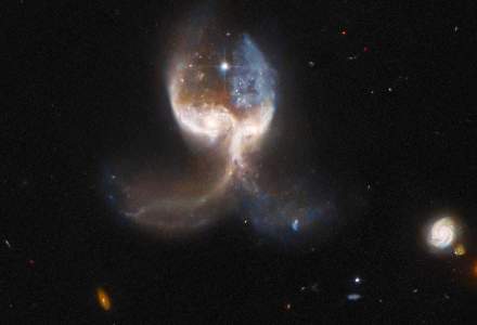 Măcar în cer, dacă nu pe pământ: telescopul spațial Hubble a dezvăluit două galaxii în proces de fuziune, numite Aripa de înger