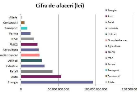 Domeniile in care joaca cele mai mari companii: TOP 200 firme din Romania