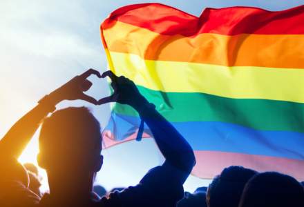 Senatul României a adoptat tacit un proiect anti- LGBT, similar cu cel din Ungaria